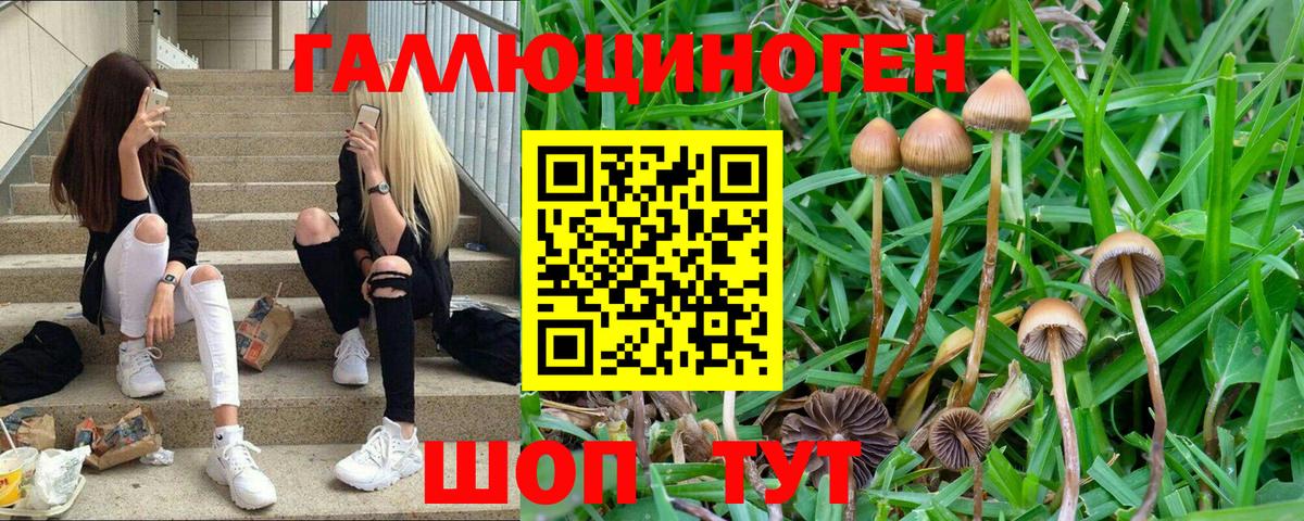Минеральные Воды  Галлюциногенные грибы Cubensis  Вход с VPN  Псилоцибиновые грибы Psilocybine cubensis 